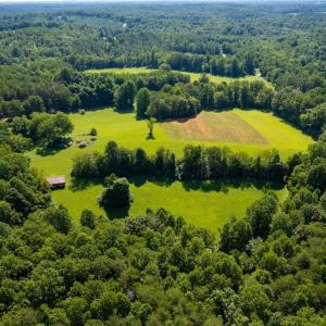 Photo #3 of 1135 Daisy Creek Farm, Westfield, NC 57.6 acres