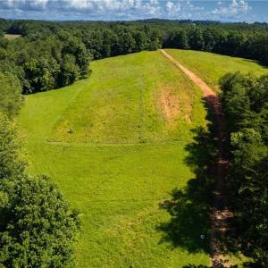 Photo #5 of 1135 Daisy Creek Farm, Westfield, NC 57.6 acres