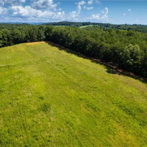 Photo #9 of 1135 Daisy Creek Farm, Westfield, NC 57.6 acres