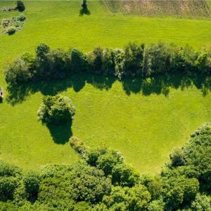 Photo #10 of 1135 Daisy Creek Farm, Westfield, NC 57.6 acres