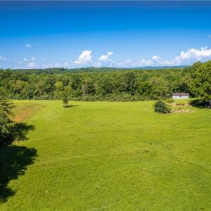 Photo #14 of 1135 Daisy Creek Farm, Westfield, NC 57.6 acres