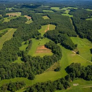 Photo #18 of 1135 Daisy Creek Farm, Westfield, NC 57.6 acres