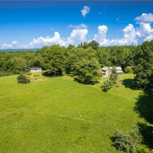 Photo #15 of 1135 Daisy Creek Farm, Westfield, NC 57.6 acres