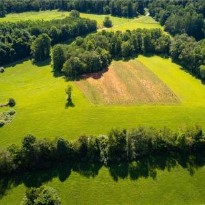 Photo #11 of 1135 Daisy Creek Farm, Westfield, NC 57.6 acres