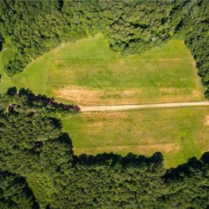 Photo #19 of 1135 Daisy Creek Farm, Westfield, NC 57.6 acres