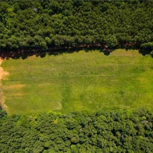 Photo #4 of 1135 Daisy Creek Farm, Westfield, NC 57.6 acres