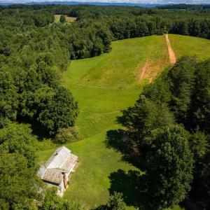 Photo #25 of 1135 Daisy Creek Farm, Westfield, NC 57.6 acres