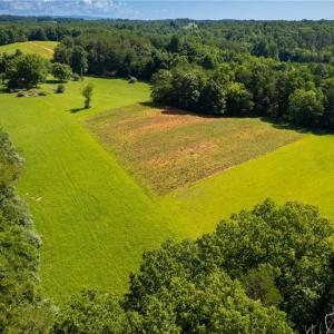 Photo #12 of 1135 Daisy Creek Farm, Westfield, NC 57.6 acres