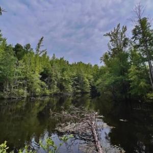 Photo #12 of 6638 Holts Store, Julian, NC 52.6 acres