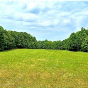 Photo #5 of 6638 Holts Store, Julian, NC 52.6 acres