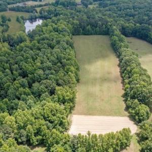 Photo #4 of 6638 Holts Store, Julian, NC 52.6 acres