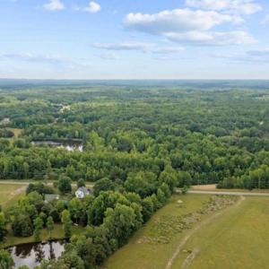 Photo #8 of 6638 Holts Store, Julian, NC 52.6 acres