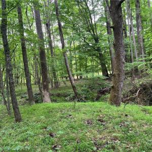 Photo #2 of Jones, Winston-Salem, NC 21.0 acres