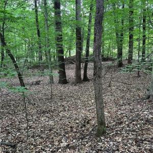 Photo #1 of Jones, Winston-Salem, NC 21.0 acres