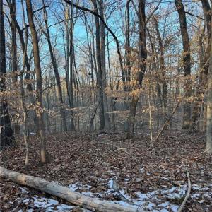 Photo #4 of Jones, Winston-Salem, NC 21.0 acres