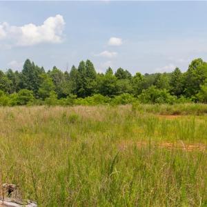 Photo #2 of Joyce Woodworks, Sandy Ridge, NC 18.9 acres