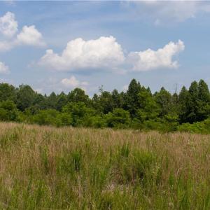 Photo #6 of Joyce Woodworks, Sandy Ridge, NC 18.9 acres