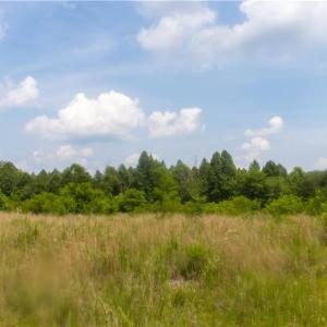 Photo #17 of Joyce Woodworks, Sandy Ridge, NC 18.9 acres
