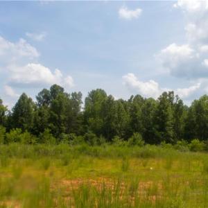 Photo #16 of Joyce Woodworks, Sandy Ridge, NC 18.9 acres