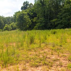 Photo #12 of Joyce Woodworks, Sandy Ridge, NC 18.9 acres