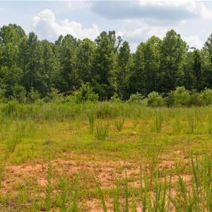 Photo #7 of Joyce Woodworks, Sandy Ridge, NC 18.9 acres