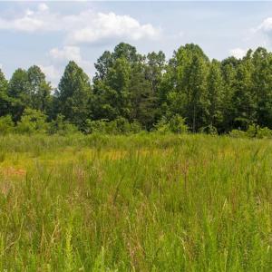 Photo #3 of Joyce Woodworks, Sandy Ridge, NC 18.9 acres