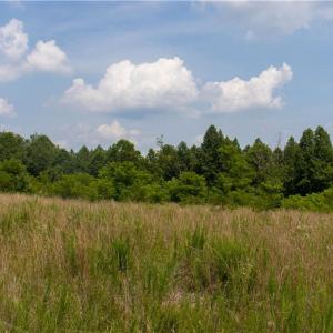 Photo #5 of Joyce Woodworks, Sandy Ridge, NC 18.9 acres