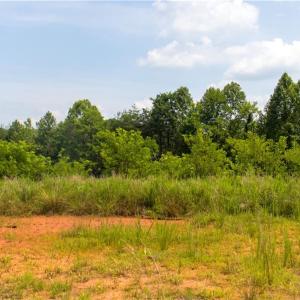Photo #9 of Joyce Woodworks, Sandy Ridge, NC 18.9 acres