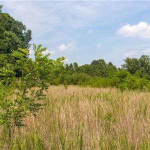 Photo #14 of Joyce Woodworks, Sandy Ridge, NC 18.9 acres