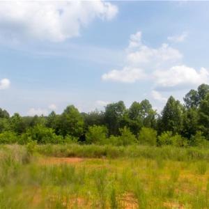 Photo #15 of Joyce Woodworks, Sandy Ridge, NC 18.9 acres