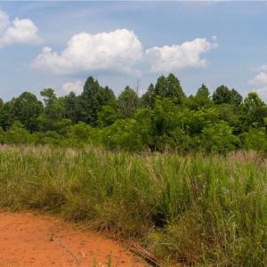 Photo #11 of Joyce Woodworks, Sandy Ridge, NC 18.9 acres