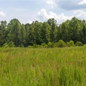 Photo #9 of Joyce Woodworks, Sandy Ridge, NC 18.9 acres