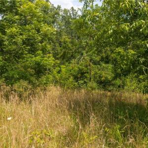 Photo #2 of Joyce Woodworks, Sandy Ridge, NC 23.1 acres
