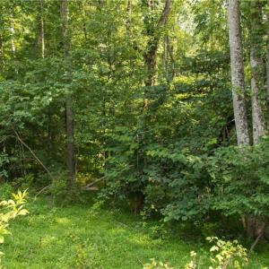 Photo #13 of Joyce Woodworks, Sandy Ridge, NC 23.1 acres