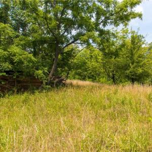 Photo #12 of Joyce Woodworks, Sandy Ridge, NC 23.1 acres