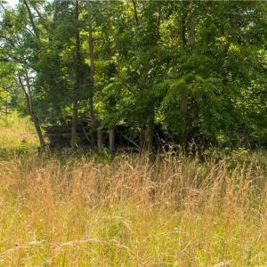 Photo #7 of Joyce Woodworks, Sandy Ridge, NC 23.1 acres
