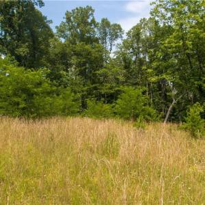 Photo #5 of Joyce Woodworks, Sandy Ridge, NC 23.1 acres
