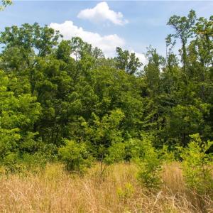 Photo #9 of Joyce Woodworks, Sandy Ridge, NC 23.1 acres