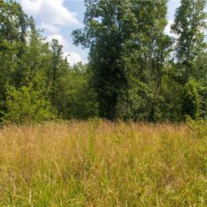 Photo #11 of Joyce Woodworks, Sandy Ridge, NC 23.1 acres