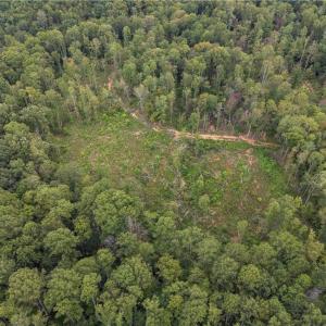 Photo #40 of 000  Lot Joyce Woodworks, Sandy Ridge, NC 23.1 acres