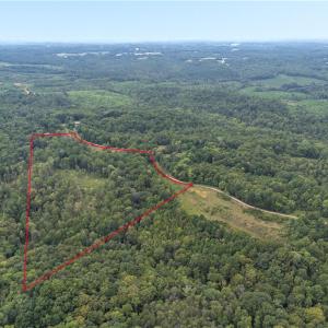 Photo #4 of 000  Lot Joyce Woodworks, Sandy Ridge, NC 23.1 acres