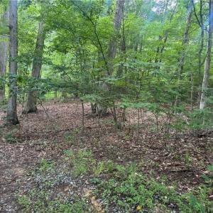 Photo #4 of 708 Salem, Thomasville, NC 2.5 acres