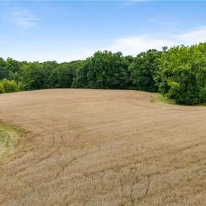 Photo #3 of 4616 Holden, Greensboro, NC 25.9 acres