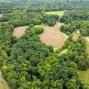 Photo #6 of 4616 Holden, Greensboro, NC 25.9 acres