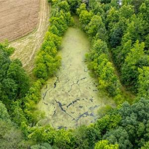 Photo #9 of 4616 Holden, Greensboro, NC 25.9 acres