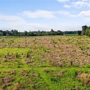 Photo #17 of 6209 Phillippi, Julian, NC 1.4 acres
