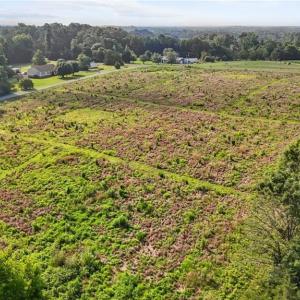Photo #16 of 6209 Phillippi, Julian, NC 1.4 acres