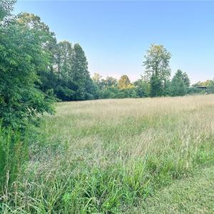 Photo #27 of 3.9Ac Pell, Westfield, NC 4.0 acres