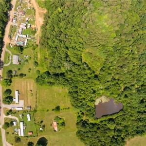 Photo #2 of 3.9Ac Pell, Westfield, NC 4.0 acres