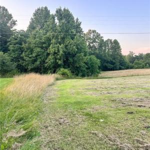 Photo #13 of 3.9Ac Pell, Westfield, NC 4.0 acres